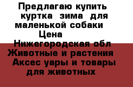 Предлагаю купить, куртка (зима) для маленькой собаки  › Цена ­ 800 - Нижегородская обл. Животные и растения » Аксесcуары и товары для животных   